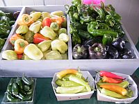 Large Assortment of Peppers